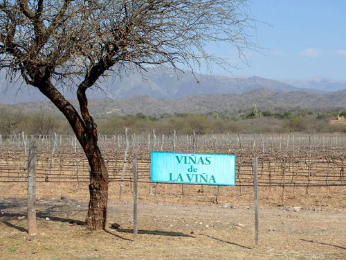 La Viña actually is a Village Name.